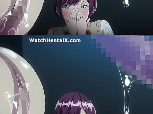 Hentai anime, Animation porn