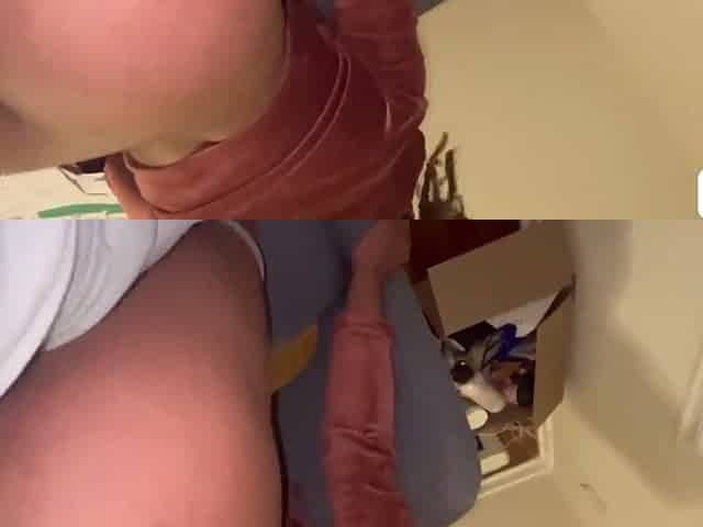 Black beauty anal compilation