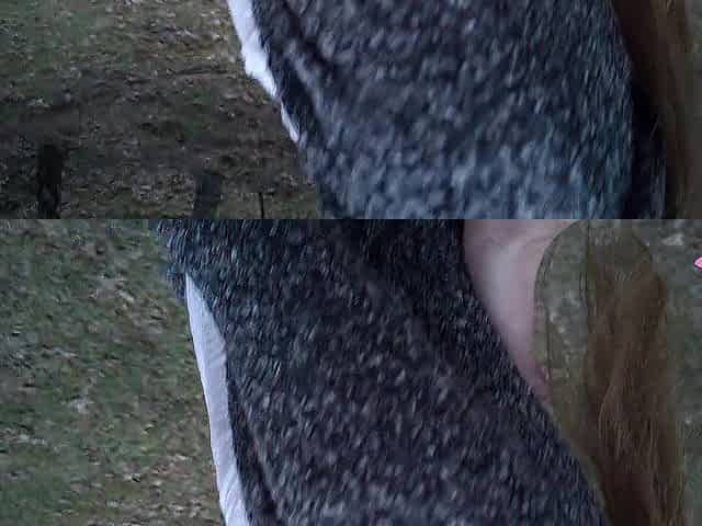 Gave lots of jizz to a marvelous nymphomaniac in the forest (part two)