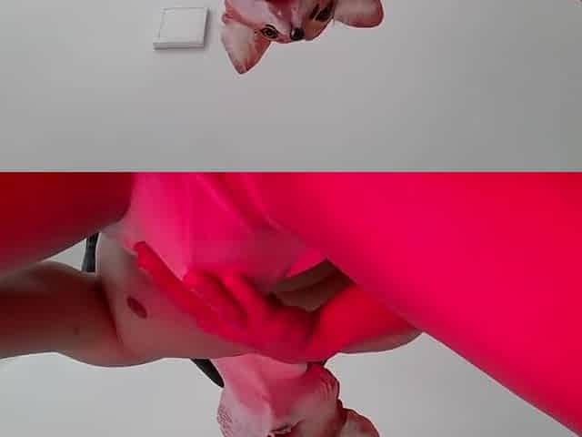 Fleshly Solo: Taking Fun in Her Ardent Sounds