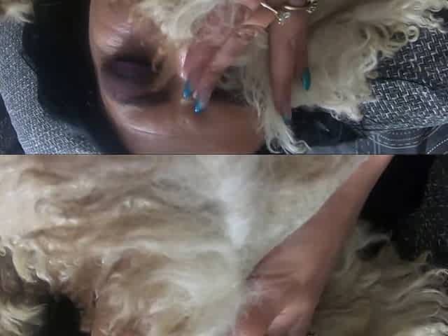 Playing with a Sheepskin