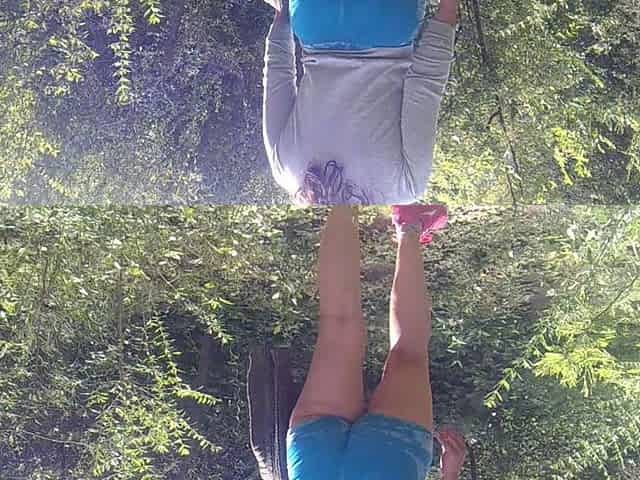 They Fuck My Ass in the Forest
