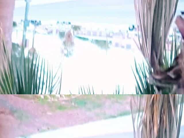 Cute amateur teen blowjob on sex dating webcam