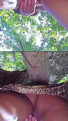 Layla Perez Makes Her Pussy Super Wet in a Tree