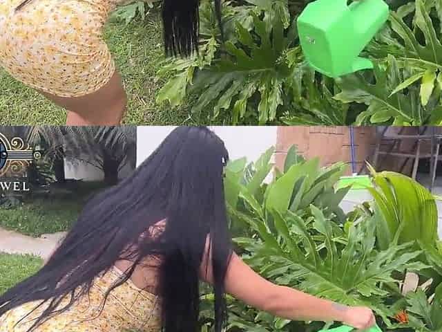 Peruvian maid screwed in the backyard!
