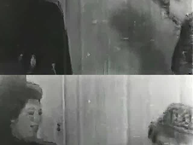 Vintage Lesbians Site Seer