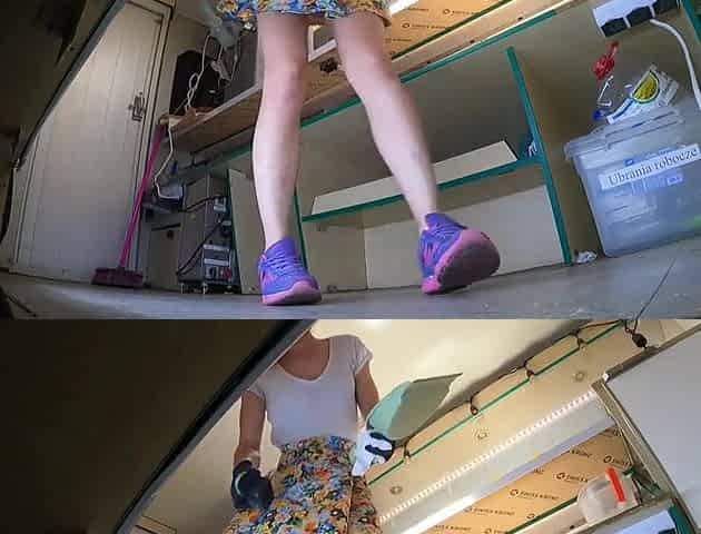 Super sexy girsl in transparent pants giving a unfathomable cleaning to my food truck