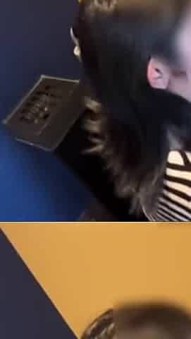 Asian Angel 25315