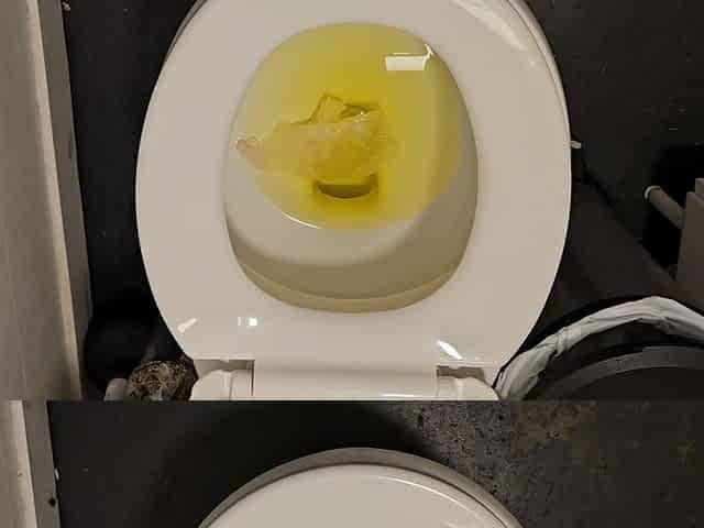 Indoor Pee, Outdoor Pee