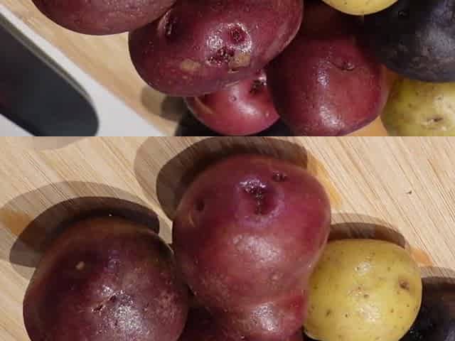 Jenna Starr Cooks Meat and Potatoes Story Time