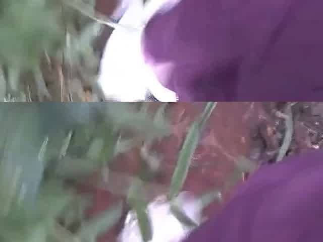 NEARLY CAUGHT STROKING IN THE WOODS