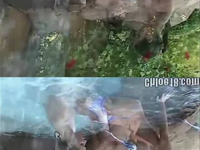 Chloe 18 Lesbian Kiss and Eat Pussy