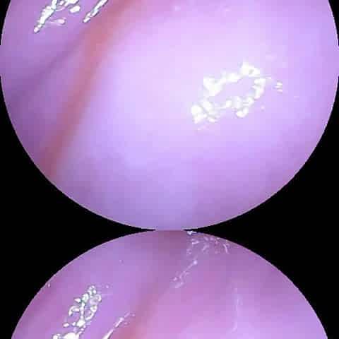 Camera dildo after a rough fuck and cream filling