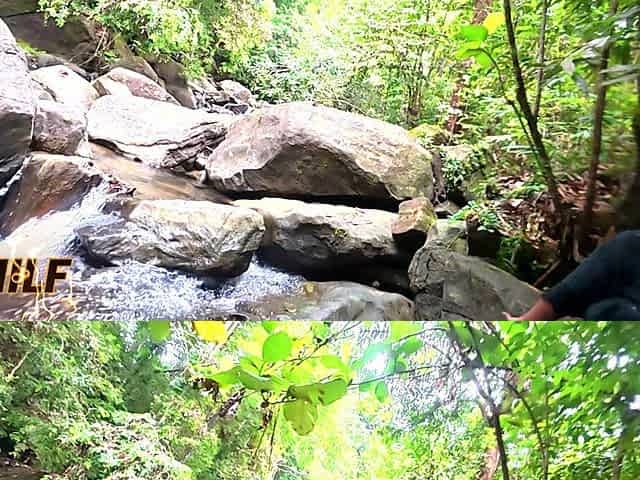 Risky Outdoor Sex _desi Big Natural Tits MILF and Boyfriend Quick Sex in the Waterfal