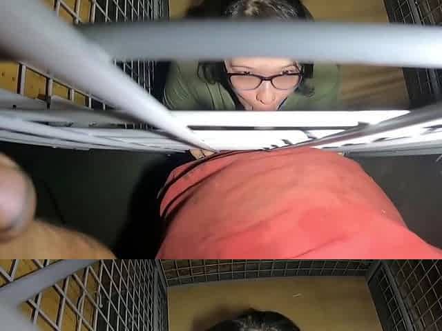 Caged Teen 18+ Asian Anybody