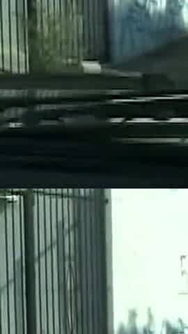 Sex with Black Slut