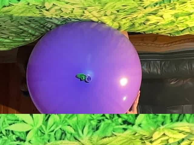 (cr-2) 16 Huge 60-100cm Very Thick Balloons Crushed by Are Asses! 2 Camera Angles with Slowmo!