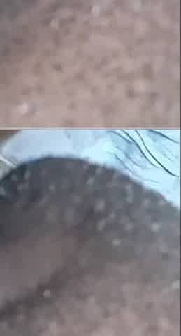 Lip Lock Missionary and Back Shot