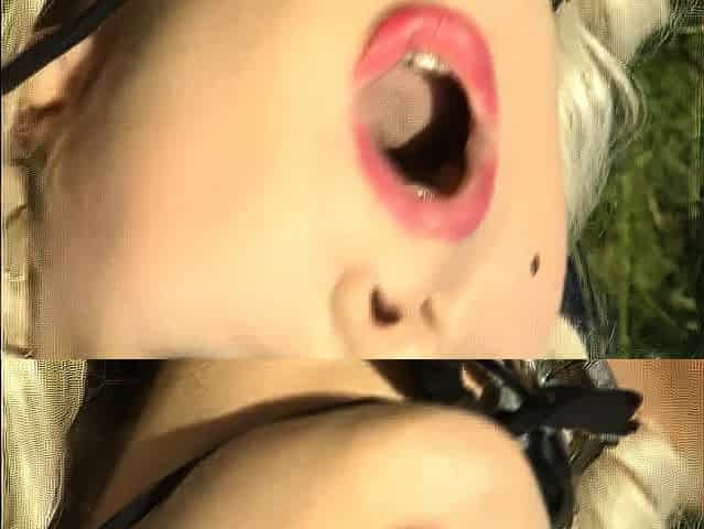 Vintage pornstars bunny bleu ron jeremy blowjob threesome