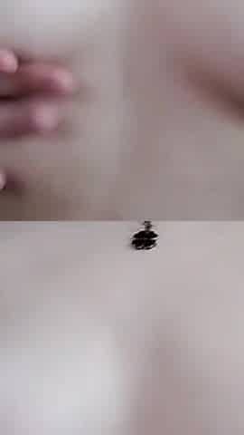 Double Penetration