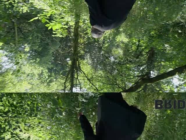 Cheating black bride gets creampie at the forest