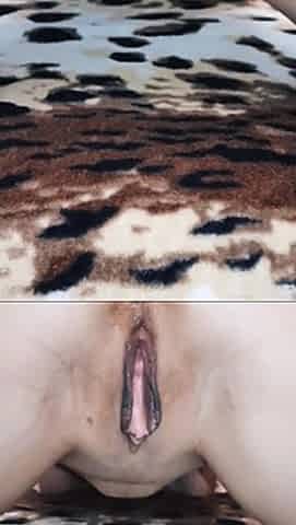 Hard Sex with Wife