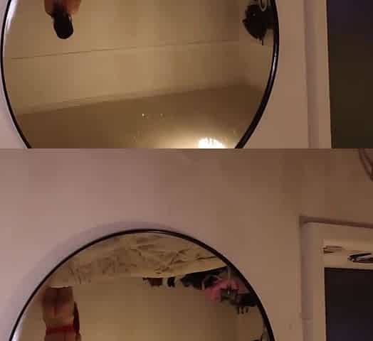 Stepmom Comes Home From Night And And Begs For A Creampie