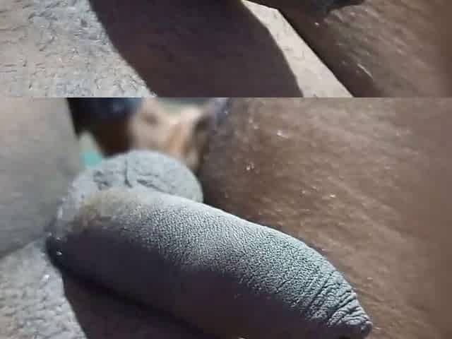 Tamil boy cock with story pt4 ep1