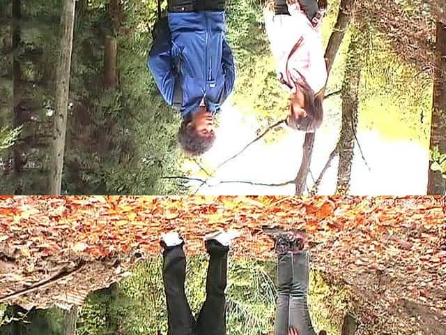 Outdoors fucking in the local woods with cum loving China Yuki