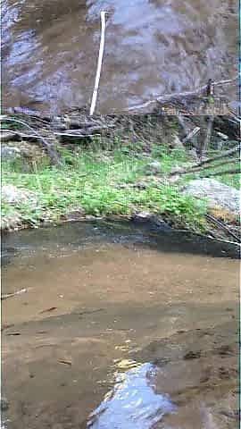 Squishing Mud Between my Toes in a Mountain Stream Couch