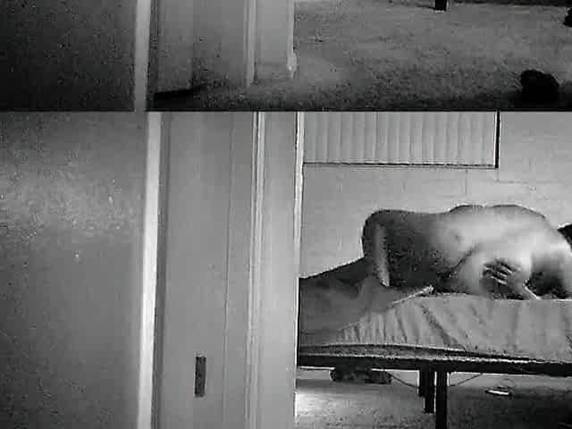 Amateurs Caught On Hidden Cam