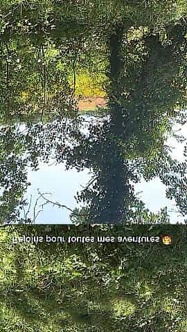 YOUTHFUL FRENCH BEAUTY, I GET BANGED IN THE FOREST