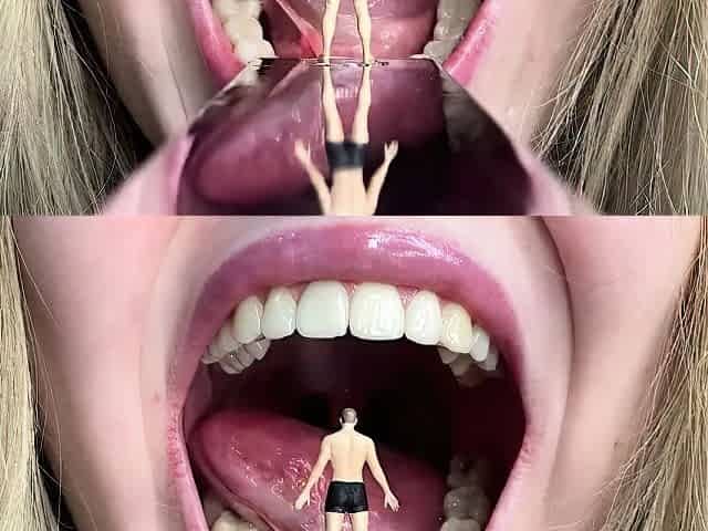 Shye White Swallowed Alive Your Inevitable Fate