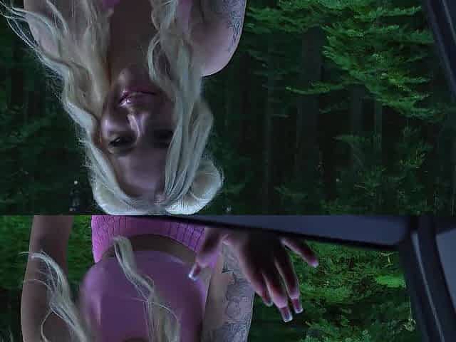 Fake driver screwed sexy blond in his car