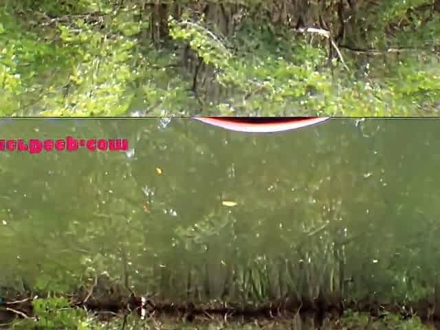 21 Week Pregnant Thai Teen 18+ Go On Jetski And Give Deepthroat Creamthroat Throatpie