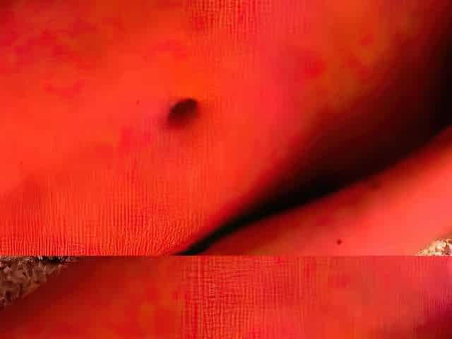 Sweet__Sugar Stroking a Dildo