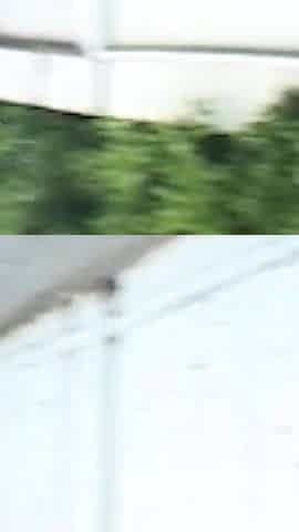 A Blonde Cutie Gets Stopped on the Street and Fucked with the Ice Cream Guy.