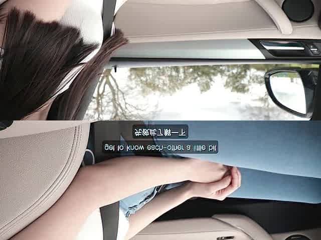 1st Date with Pretty Oriental student ends in Wild Car Sex