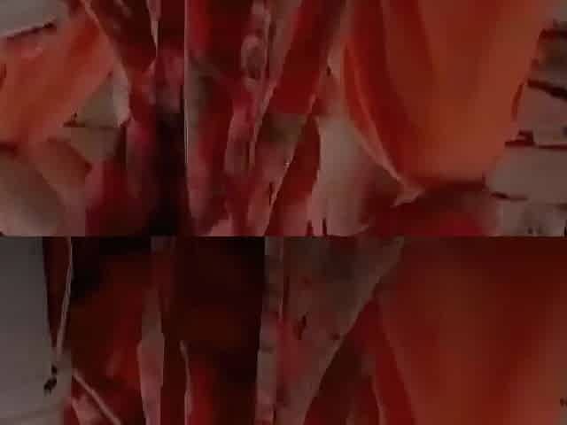 Beautiful girl's pussy fingered and sex in bathroom viral MMS