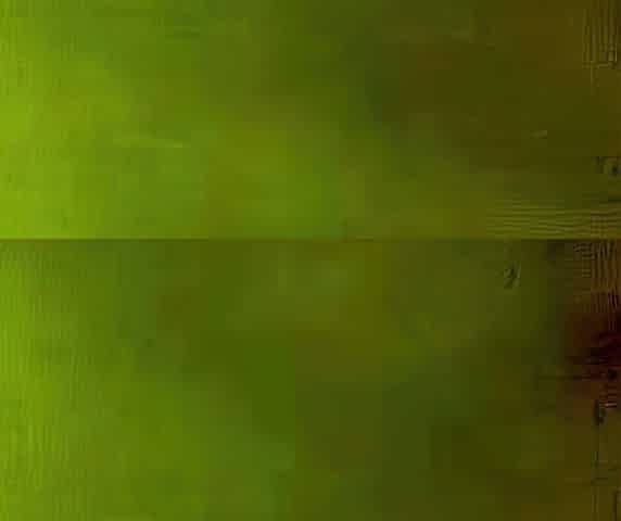 Homemade Video of a Mature Asian Couple