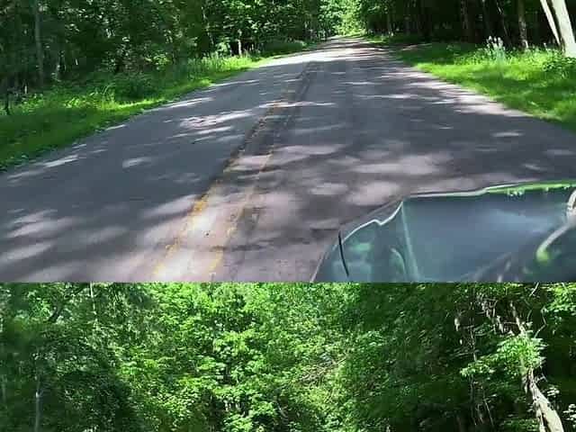 Gave Her a Creampie in Nature (nearly Caught)