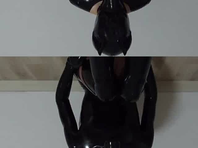 Ebony Catsuit Latex Dog Wears Pink Transparent Swimsuit