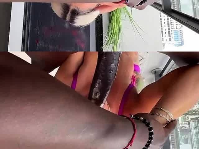Big cock loving amateur blonde rides dick anally
