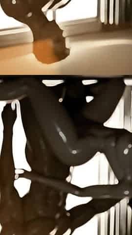 Fit Sexy Couples Doggystyle Ai Porn