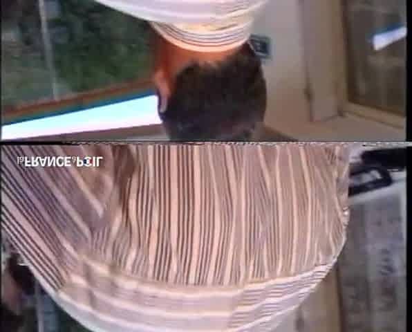 A Mature Girl Gets Fucked by Her Private Tutor