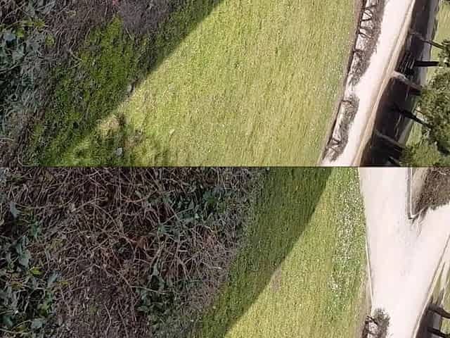 Outdoor POV Blowjob