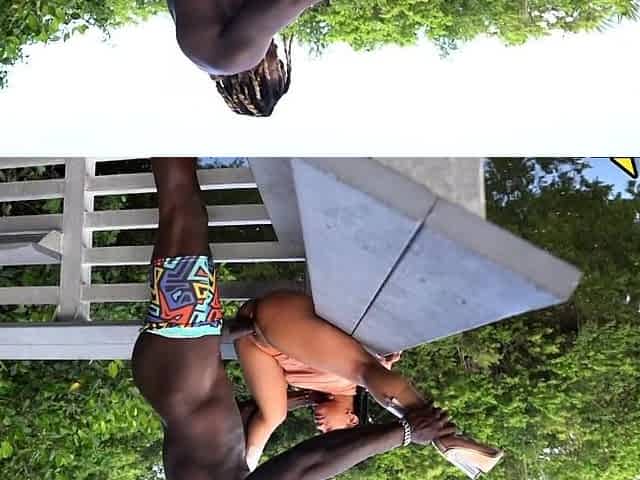 Close Up Black And White Blowjob