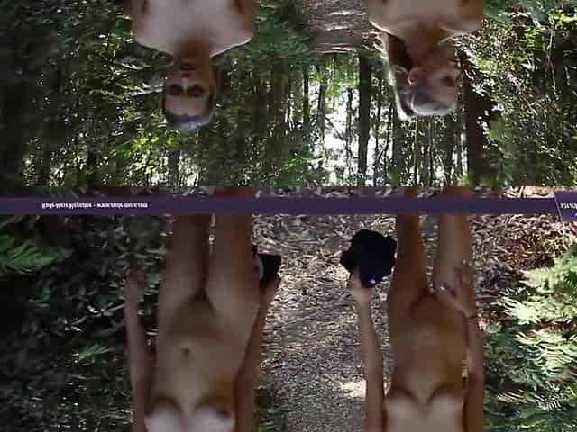 2018 07 05 Aims Tiffani Walk In The Woods