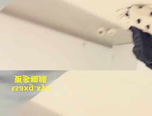 Asian Domestic Zone Self Filmed Pack self