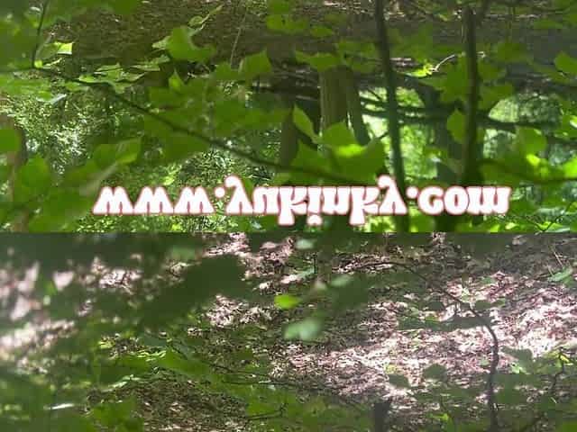I Surprise This Voyeur - Amateur French Alt Hairy Redhead JOI Exhib Soft Dom Masturbation Forest